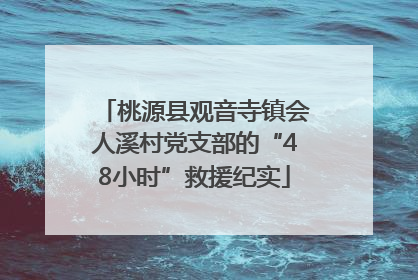 桃源县观音寺镇会人溪村党支部的“48小时”救援纪实