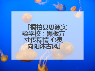 桐柏县思源实验学校：黑板方寸传粽情 心灵向阳沐古风