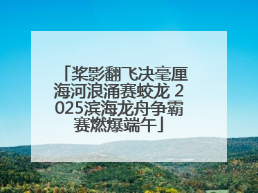 桨影翻飞决毫厘 海河浪涌赛蛟龙 2025滨海龙舟争霸赛燃爆端午