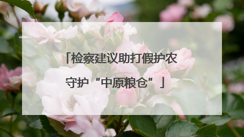 检察建议助打假护农守护“中原粮仓”