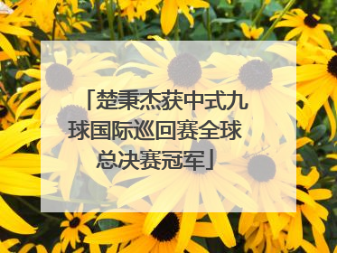 楚秉杰获中式九球国际巡回赛全球总决赛冠军