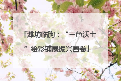 潍坊临朐：“三色沃土”绘彩铺展振兴画卷