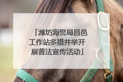 潍坊海警局昌邑工作站多措并举开展普法宣传活动