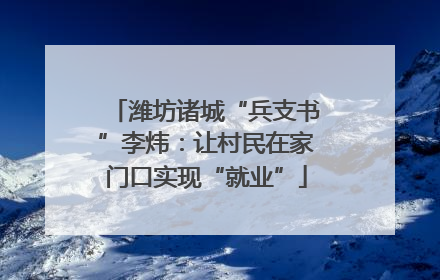 潍坊诸城“兵支书”李炜：让村民在家门口实现“就业”