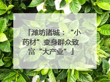 潍坊诸城：“小药材”变身群众致富“大产业”