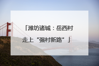 潍坊诸城：岳西村走上“强村新路”