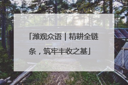 潍观众语｜精耕全链条，筑牢丰收之基
