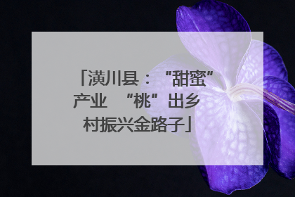潢川县：“甜蜜”产业  “桃”出乡村振兴金路子