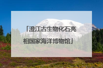 澄江古生物化石亮相国家海洋博物馆