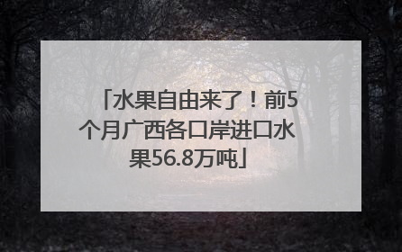 水果自由来了！前5个月广西各口岸进口水果56.8万吨