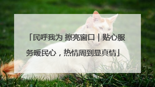 民呼我为 擦亮窗口｜贴心服务暖民心，热情周到显真情