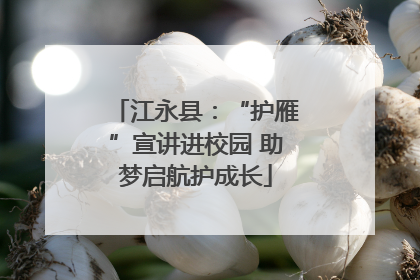 江永县：“护雁”宣讲进校园 助梦启航护成长