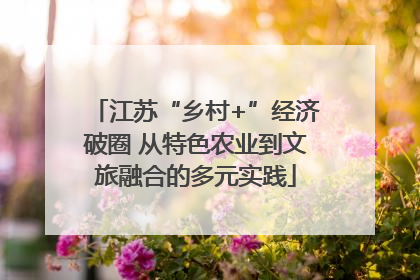 江苏“乡村+”经济破圈 从特色农业到文旅融合的多元实践