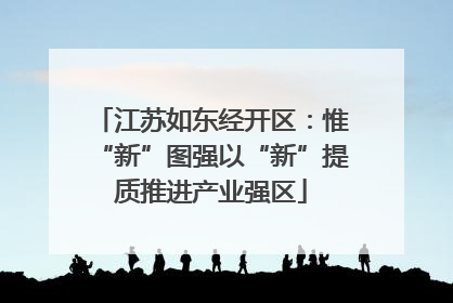 江苏如东经开区：惟“新”图强以“新”提质推进产业强区