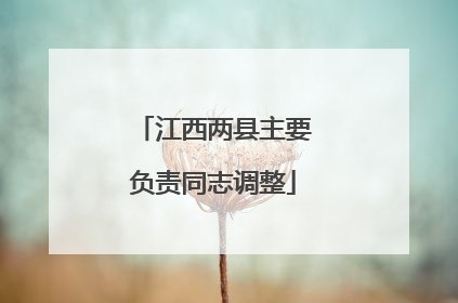 江西两县主要负责同志调整