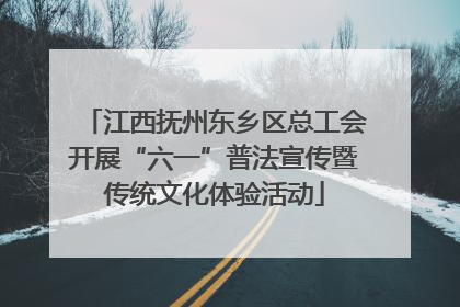 江西抚州东乡区总工会开展“六一”普法宣传暨传统文化体验活动