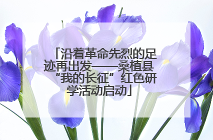 沿着革命先烈的足迹再出发——桑植县“我的长征”红色研学活动启动