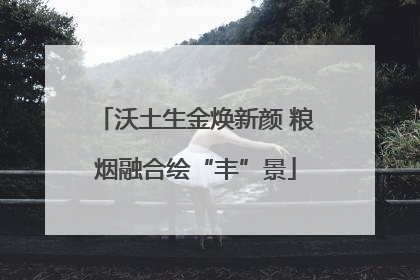 沃土生金焕新颜 粮烟融合绘“丰”景