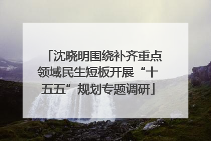 沈晓明围绕补齐重点领域民生短板开展“十五五”规划专题调研