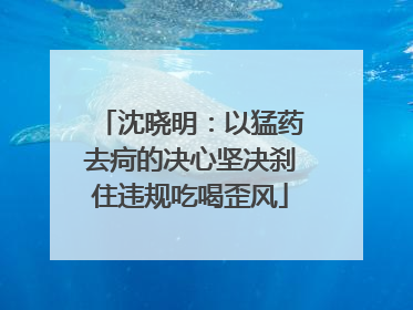 沈晓明：以猛药去疴的决心坚决刹住违规吃喝歪风