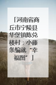 河南省商丘市宁陵县华堡镇陈兑楼村：小藤条编就“幸福图”
