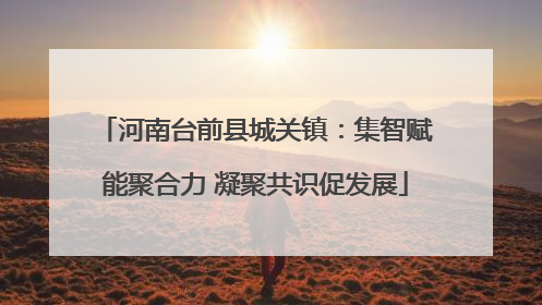 河南台前县城关镇：集智赋能聚合力 凝聚共识促发展