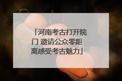 河南考古打开院门 邀请公众零距离感受考古魅力