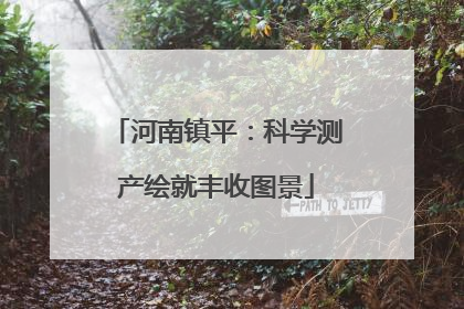 河南镇平：科学测产绘就丰收图景