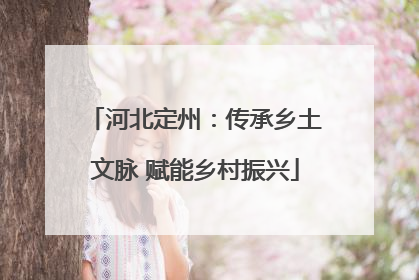 河北定州：传承乡土文脉 赋能乡村振兴