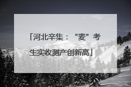 河北辛集：“麦”考生实收测产创新高
