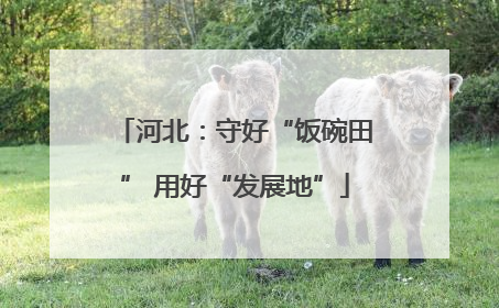 河北：守好“饭碗田” 用好“发展地”