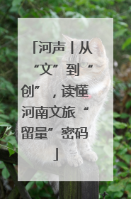 河声丨从“文”到“创”，读懂河南文旅“留量”密码