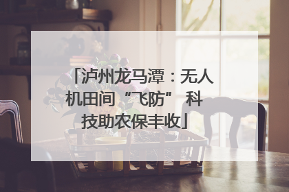 泸州龙马潭：无人机田间“飞防” 科技助农保丰收