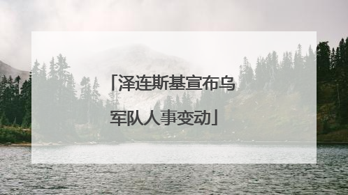 泽连斯基宣布乌军队人事变动