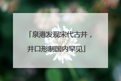 泉港发现宋代古井，井口形制国内罕见