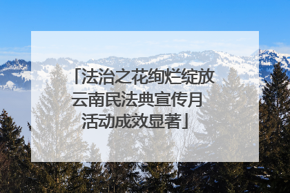 法治之花绚烂绽放 云南民法典宣传月活动成效显著