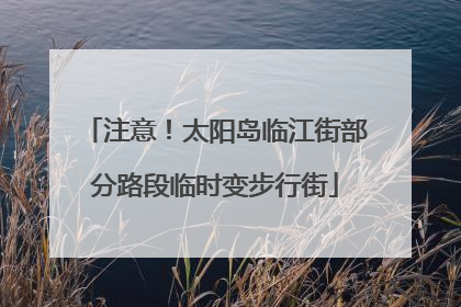 注意！太阳岛临江街部分路段临时变步行街