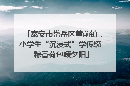 泰安市岱岳区黄前镇：小学生“沉浸式”学传统 粽香荷包暖夕阳