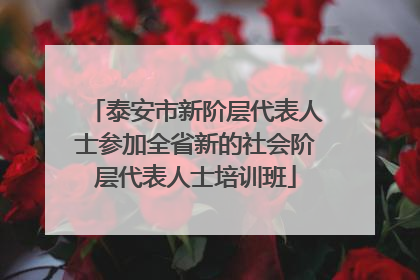 泰安市新阶层代表人士参加全省新的社会阶层代表人士培训班