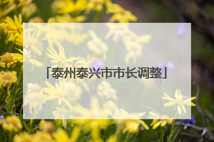 泰州泰兴市市长调整