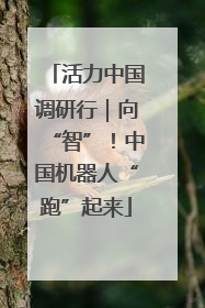 活力中国调研行｜向“智”！中国机器人“跑”起来