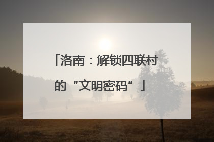 洛南：解锁四联村的“文明密码”
