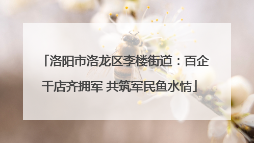 洛阳市洛龙区李楼街道：百企千店齐拥军 共筑军民鱼水情