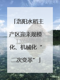 洛阳水稻主产区迎来规模化、机械化“二次变革”