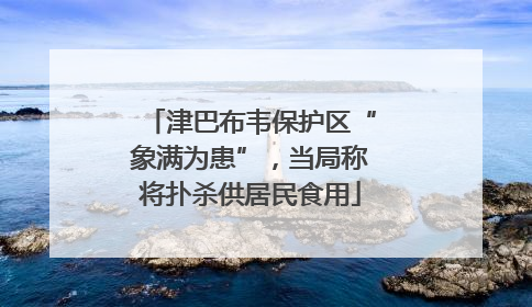 津巴布韦保护区“象满为患”，当局称将扑杀供居民食用