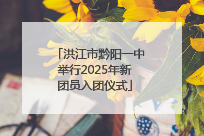 洪江市黔阳一中举行2025年新团员入团仪式