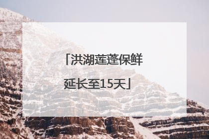 洪湖莲蓬保鲜延长至15天