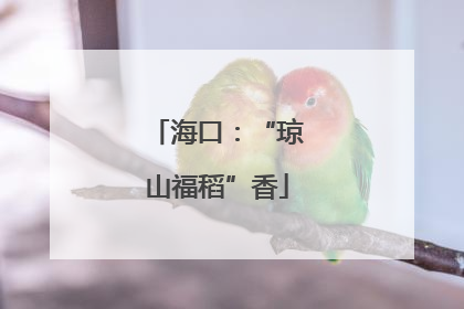 海口：“琼山福稻”香