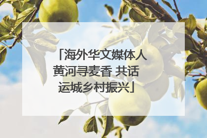 海外华文媒体人黄河寻麦香 共话运城乡村振兴
