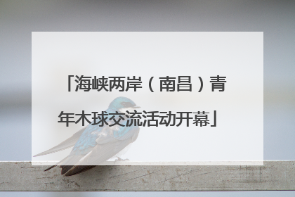 海峡两岸（南昌）青年木球交流活动开幕